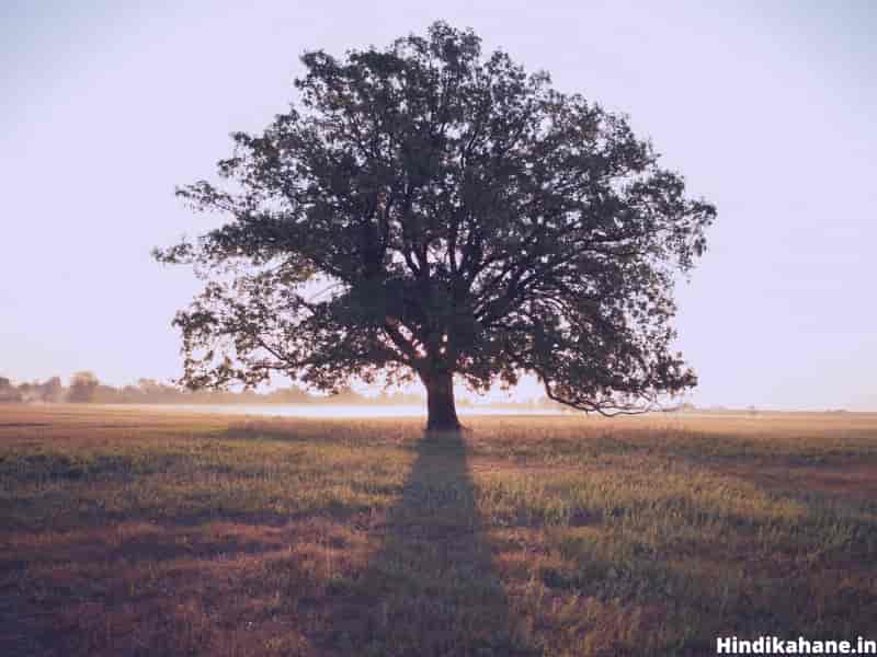Tree of Life mantra- English Stories